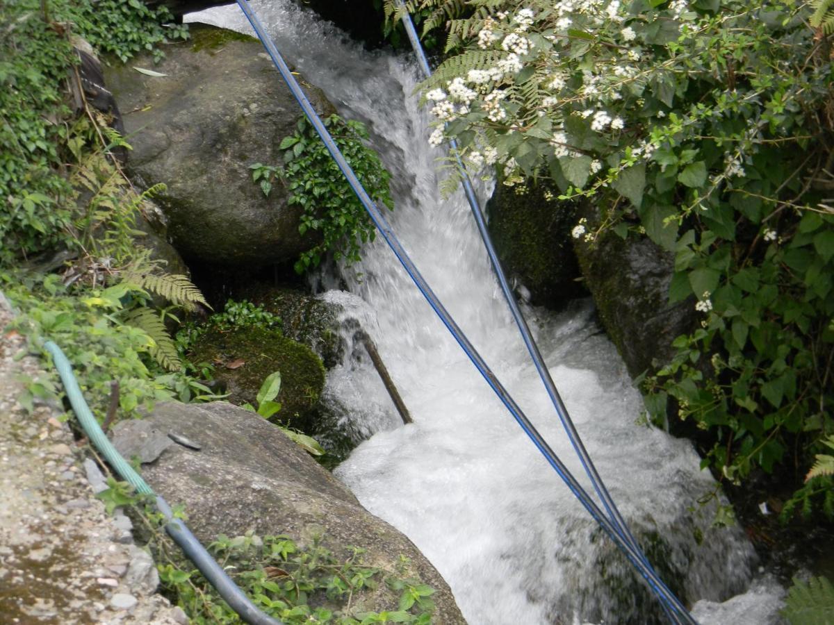 Hillock By In Vogue Villa Dharamshala Exterior photo